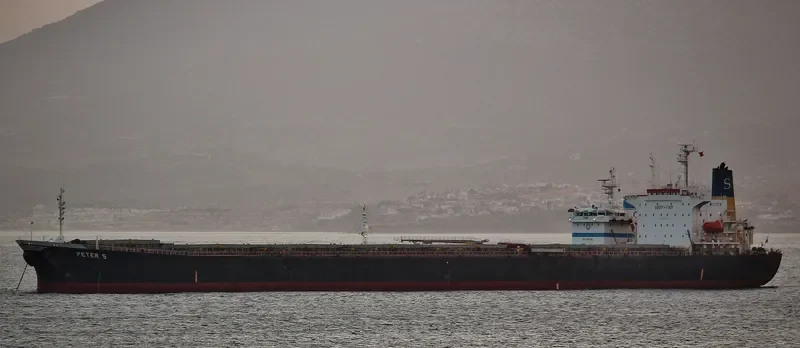 PETER S Bulk Carrier IMO 9104110 photo 6