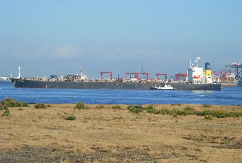PETER S Bulk Carrier IMO 9104110 photo 8