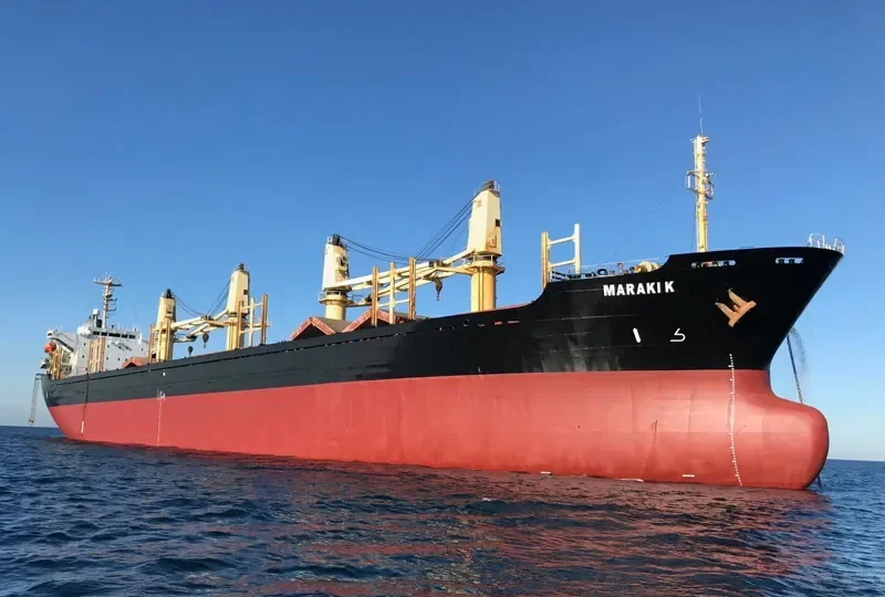 MARAKI K Bulk Carrier IMO 9104158 photo 2