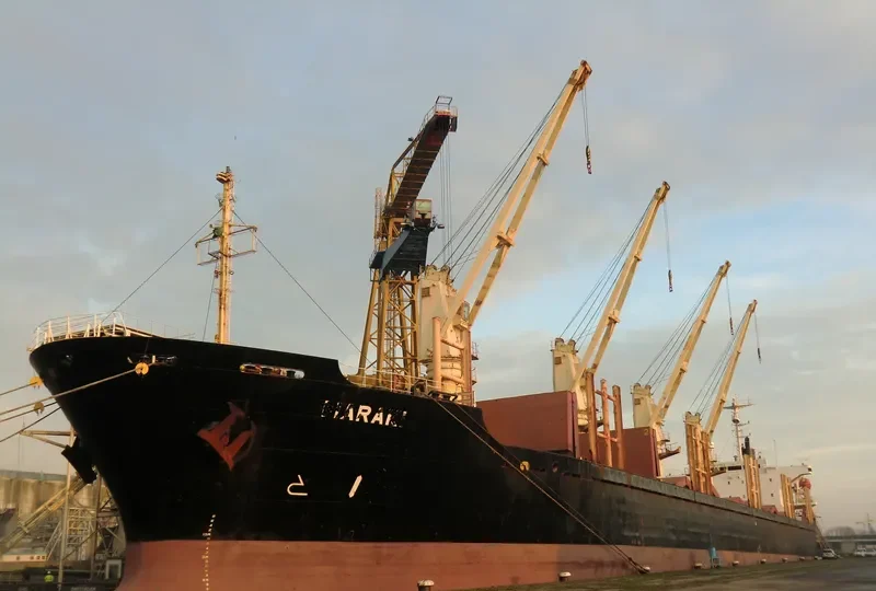 MARAKI K Bulk Carrier IMO 9104158 photo 8