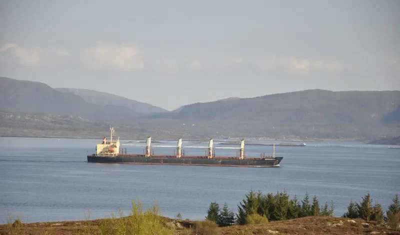 RUN FU 1 Bulk Carrier IMO 9104196 photo 2