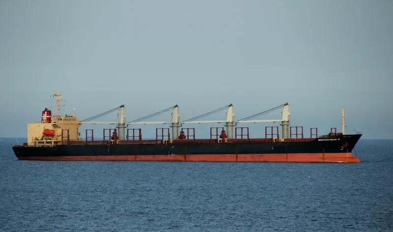 RUN FU 1 Bulk Carrier IMO 9104196 photo 3