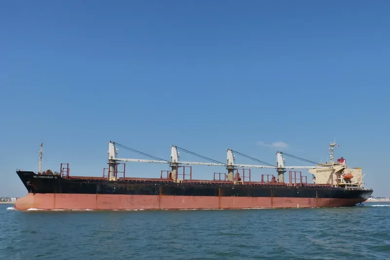 RUN FU 1 Bulk Carrier IMO 9104196 photo 5