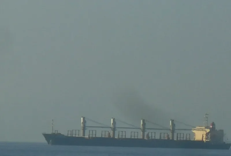 RUN FU 1 Bulk Carrier IMO 9104196 photo 7