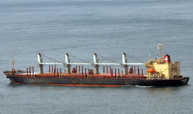 RUN FU 1 Bulk Carrier IMO 9104196 photo 8