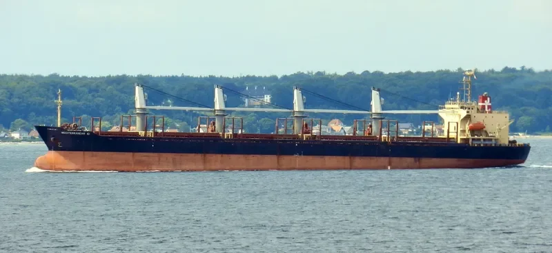RUN FU 1 Bulk Carrier IMO 9104196 photo 10