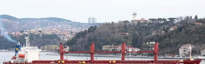 SEA MERAY Bulk Carrier IMO 9104421 photo 2
