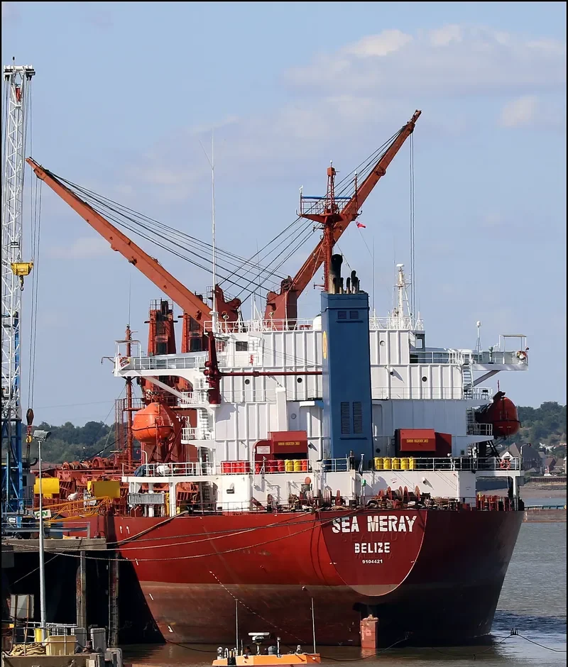 SEA MERAY Bulk Carrier IMO 9104421 photo 4