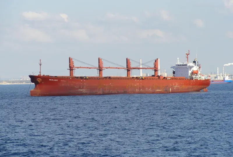SEA MERAY Bulk Carrier IMO 9104421 photo 6