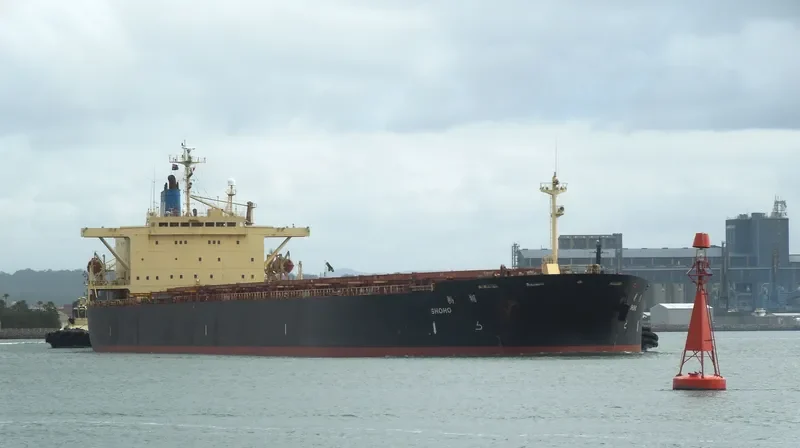 F.STAR Bulk Carrier IMO 9104471 photo 3