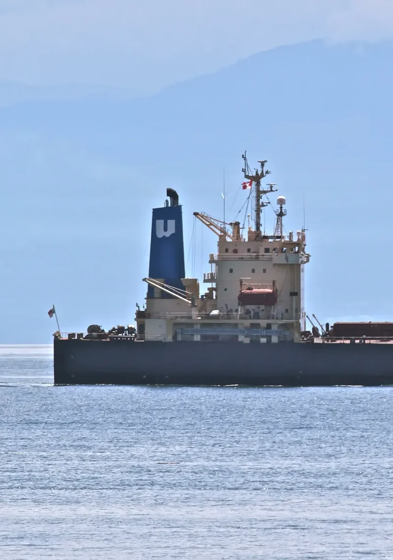 F.STAR Bulk Carrier IMO 9104471 photo 6
