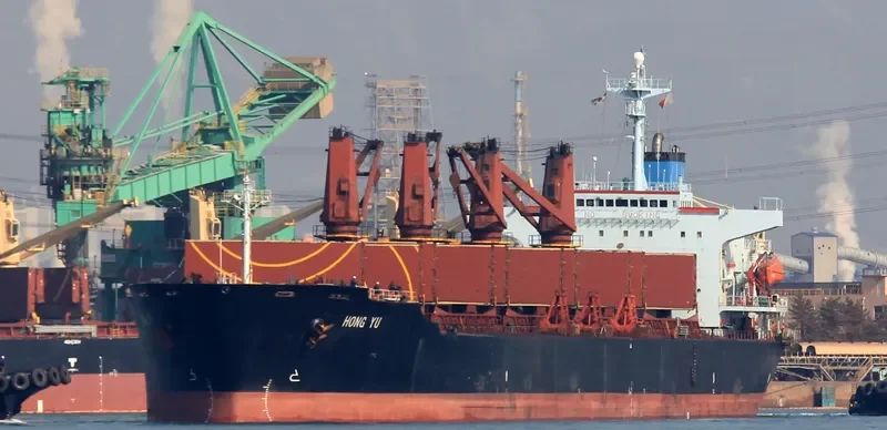 ETERNAL LUCK Bulk Carrier IMO 9104550 photo 7