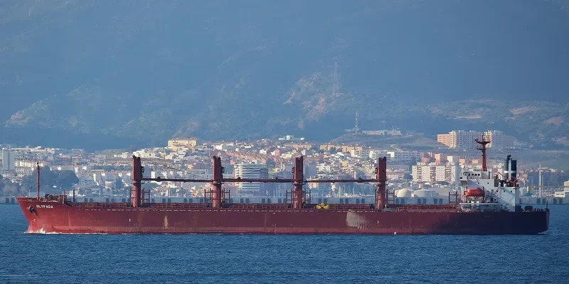 GLYFADA Bulk Carrier IMO 9104586 photo 2