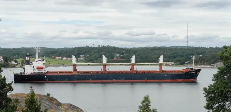 ALBY STORY Bulk Carrier IMO 9104603
