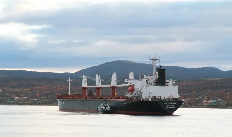 ALBY STORY Bulk Carrier IMO 9104603 photo 6