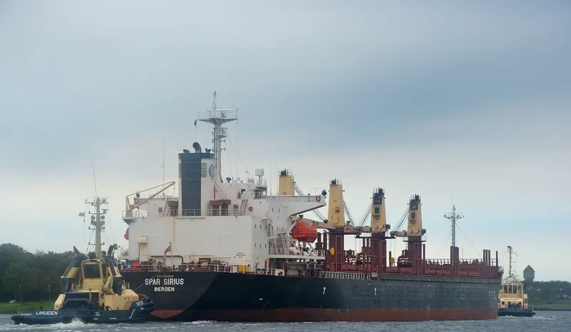 SPAR SIRIUS Bulk Carrier IMO 9104615 photo 2