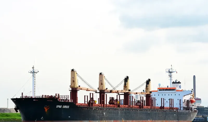 SPAR SIRIUS Bulk Carrier IMO 9104615 photo 3