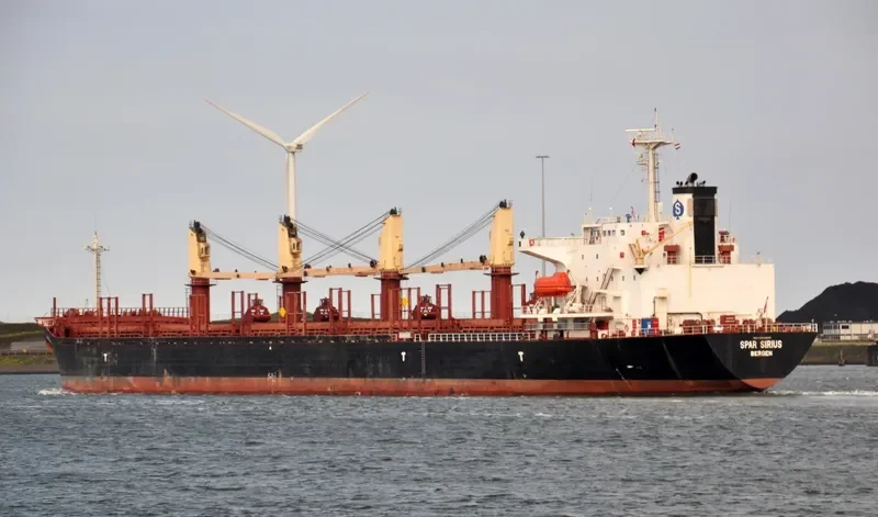 SPAR SIRIUS Bulk Carrier IMO 9104615 photo 5