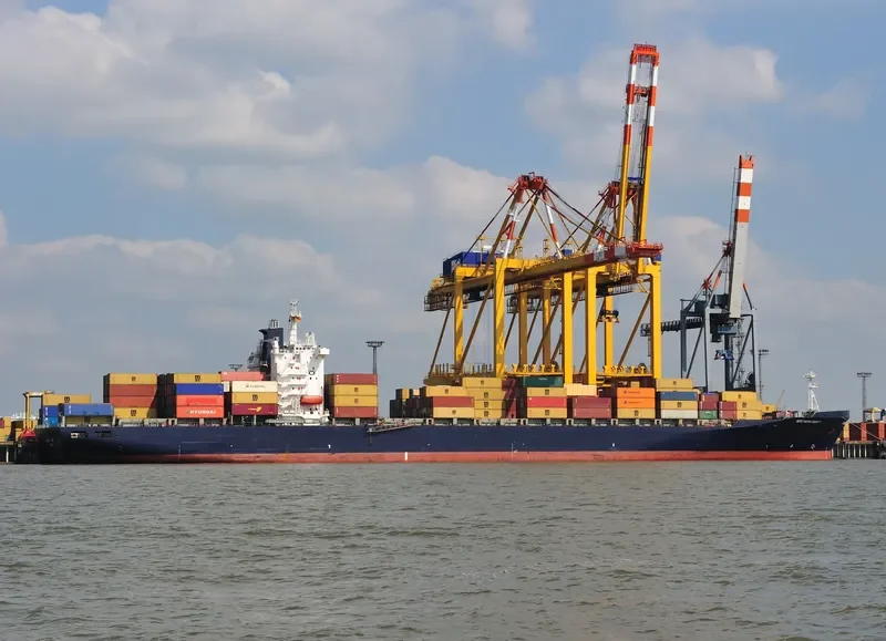 C WIND Container Ship IMO 9104897 photo 4