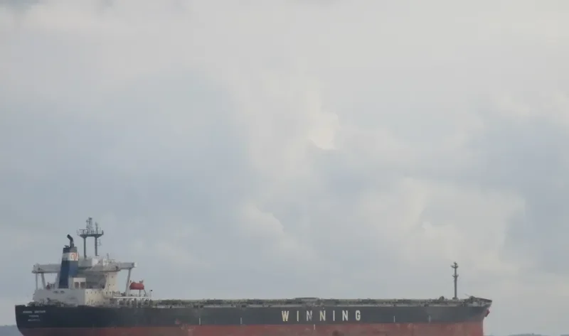 WINNING BROTHER Bulk Carrier IMO 9105322 photo 2