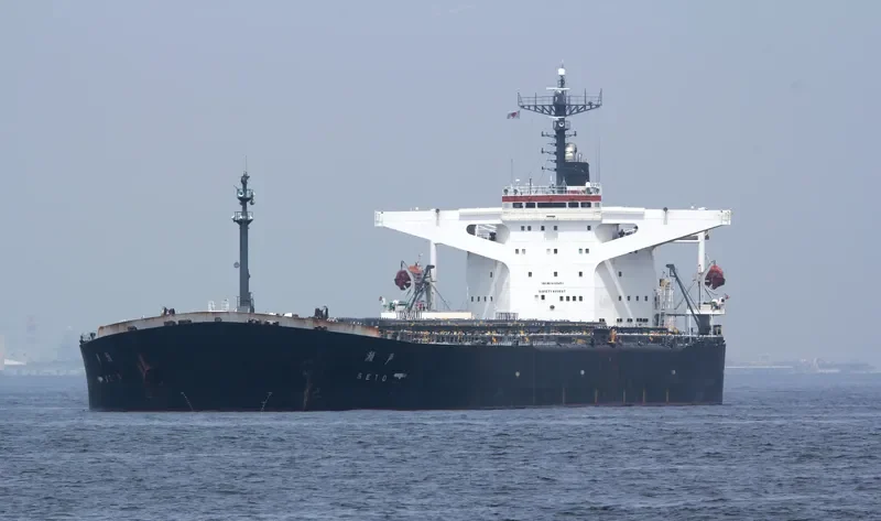 SETO Bulk Carrier IMO 9105451