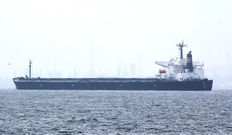 SETO Bulk Carrier IMO 9105451 photo 4