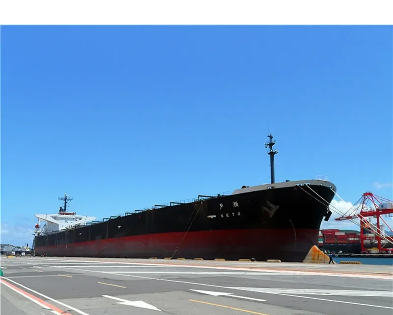 SETO Bulk Carrier IMO 9105451 photo 9