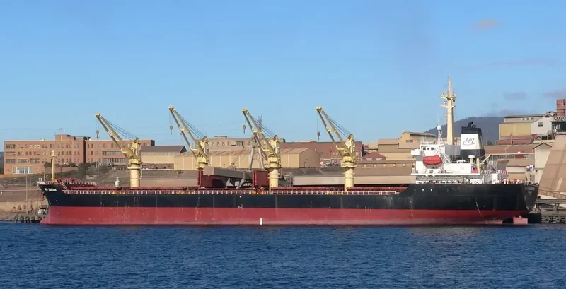 JIN HAI XI Bulk Carrier IMO 9105463 photo 5