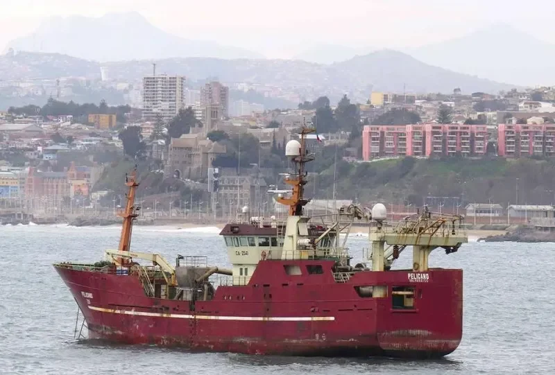 PELICANO General Cargo IMO 9105671