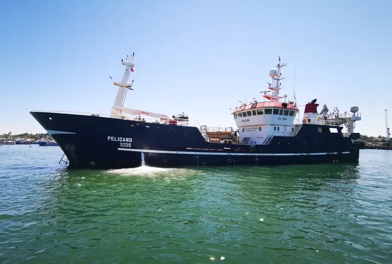 PELICANO General Cargo IMO 9105671 photo 4