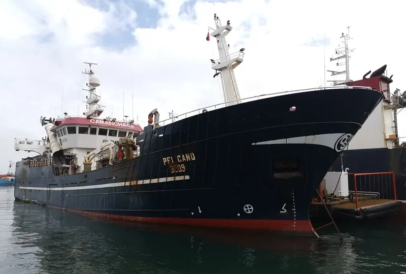 PELICANO General Cargo IMO 9105671 photo 5