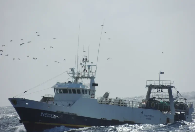 FARPESCA General Cargo IMO 9105712 photo 4
