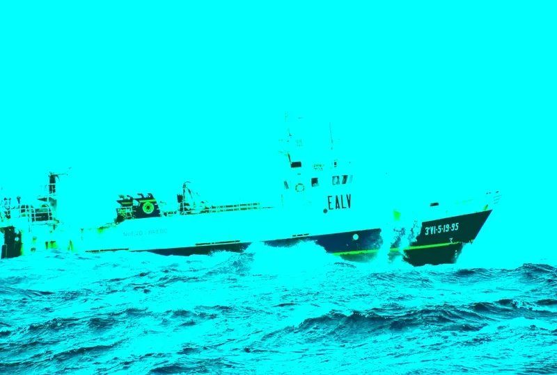 NUEVO LAREDO General Cargo IMO 9105724 photo 5
