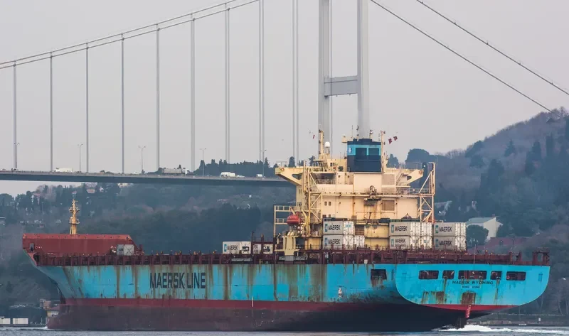 MAERSK WYOMING Container Ship IMO 9105932 photo 5