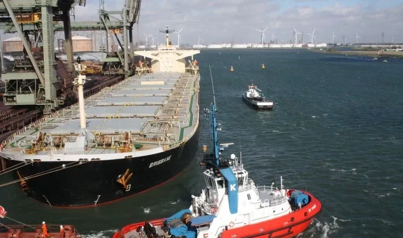 SILVER MERCHANT Bulk Carrier IMO 9106223 photo 3