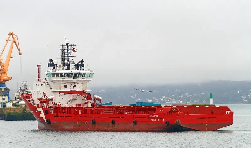 VN PARTISAN Offshore Vessel IMO 9106431 photo 6