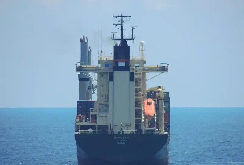 BERULAN Container Ship IMO 9106455 photo 3