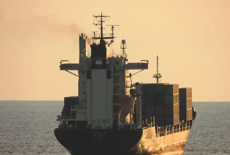 BERULAN Container Ship IMO 9106455 photo 6