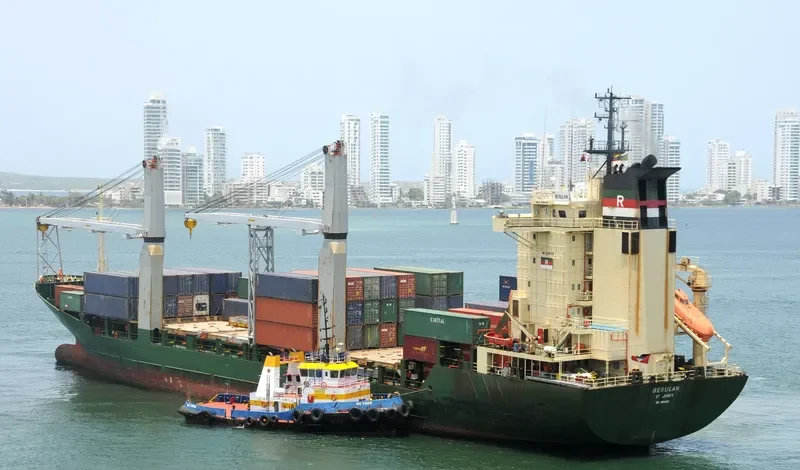 BERULAN Container Ship IMO 9106455 photo 8
