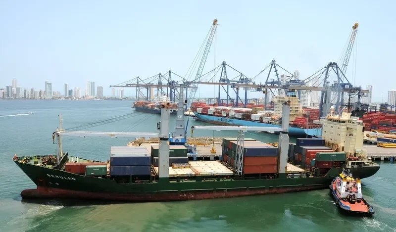 BERULAN Container Ship IMO 9106455 photo 9