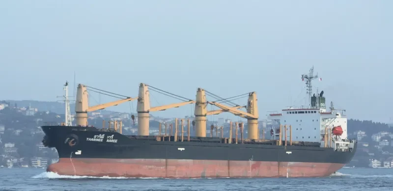 THARINEE NAREE Bulk Carrier IMO 9106742
