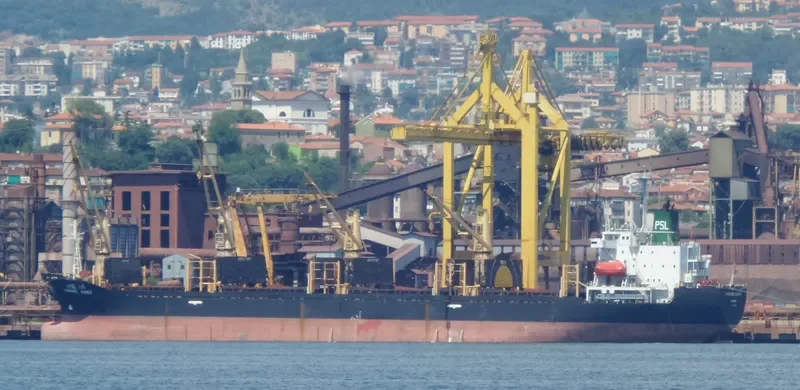 THARINEE NAREE Bulk Carrier IMO 9106742 photo 4