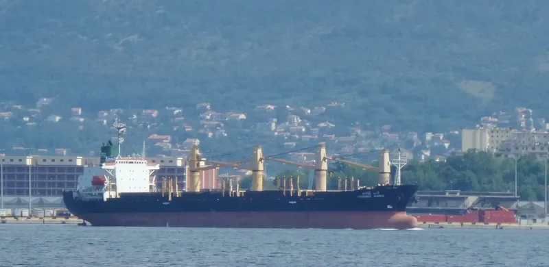 THARINEE NAREE Bulk Carrier IMO 9106742 photo 7