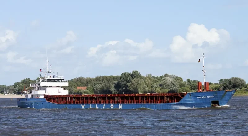 WILSON BORG General Cargo IMO 9106924 photo 3