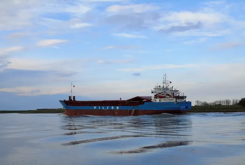 WILSON BORG General Cargo IMO 9106924 photo 7