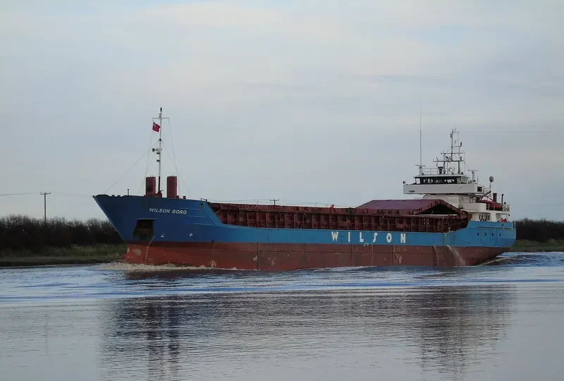 WILSON BORG General Cargo IMO 9106924 photo 8