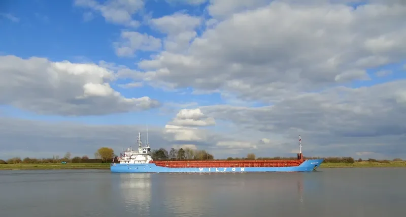 WILSON BORG General Cargo IMO 9106924 photo 10