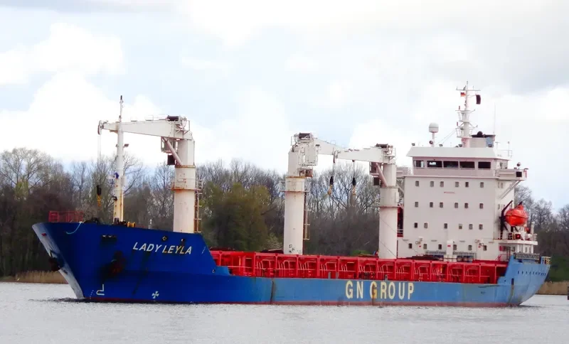 LADY LEYLA General Cargo IMO 9106986 photo 7