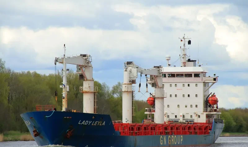 LADY LEYLA General Cargo IMO 9106986 photo 8