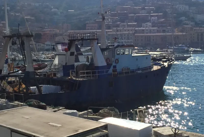 MARLIN General Cargo IMO 9107019